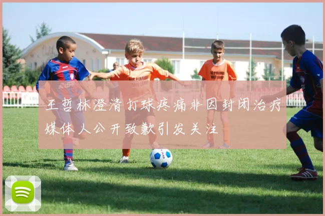 王哲林澄清打球疼痛非因封闭治疗媒体人公开致歉引发关注