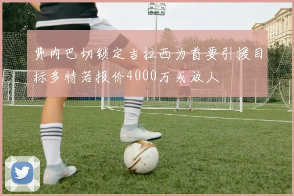 费内巴切锁定吉拉西为首要引援目标多特若报价4000万或放人